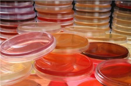 培養皿難洗總洗不干凈易碎，杜伯特輕松解決